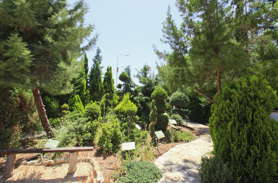 Green Forest - Cyprus' leading landscaping company - conifergardens 8 2