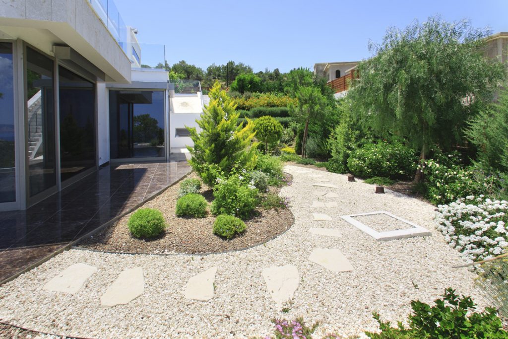 Green Forest - Cyprus' leading landscaping company - coniferplants 14 1