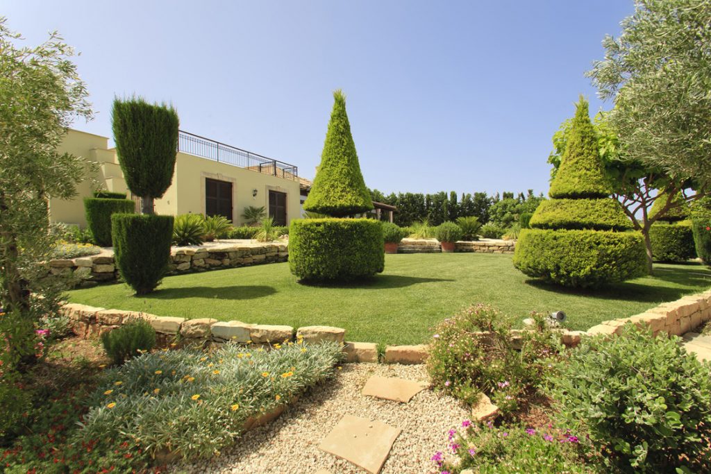 Green Forest - Cyprus' leading landscaping company - coniferplants 4 2