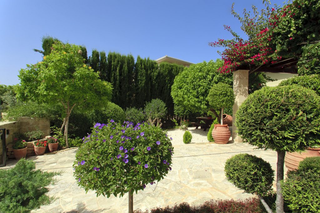 Green Forest - Cyprus' leading landscaping company - flowerbushesplants 21 2