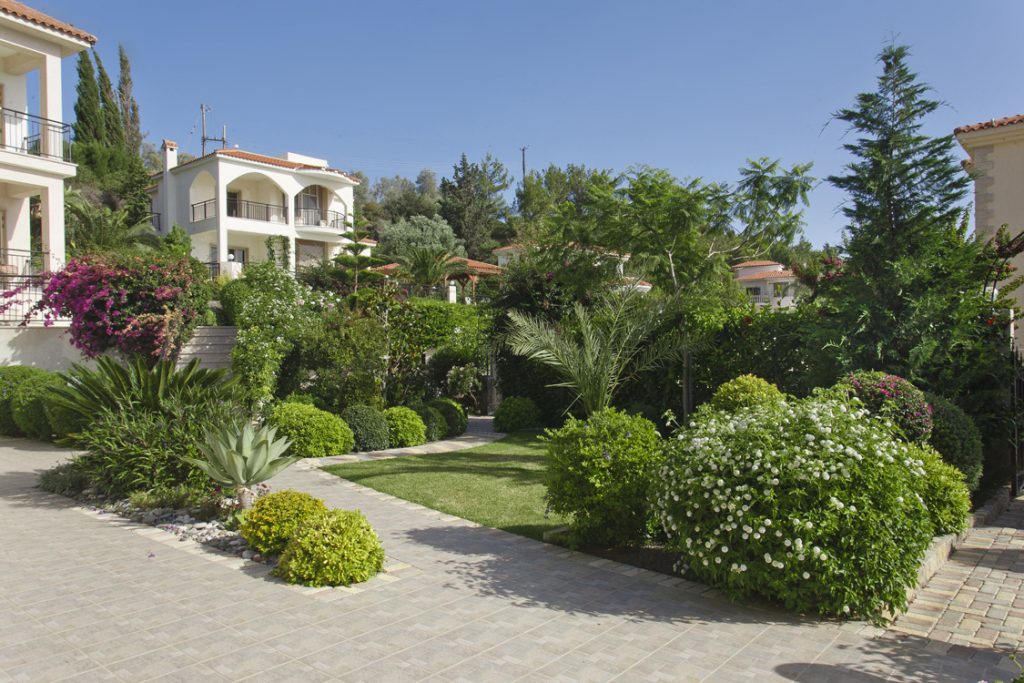 Green Forest - Cyprus' leading landscaping company - flowerbushesplants 23