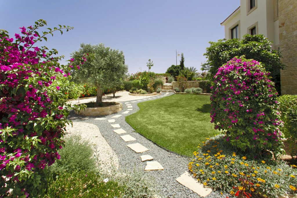 Green Forest - Cyprus' leading landscaping company - flowerbushesplants 3 2