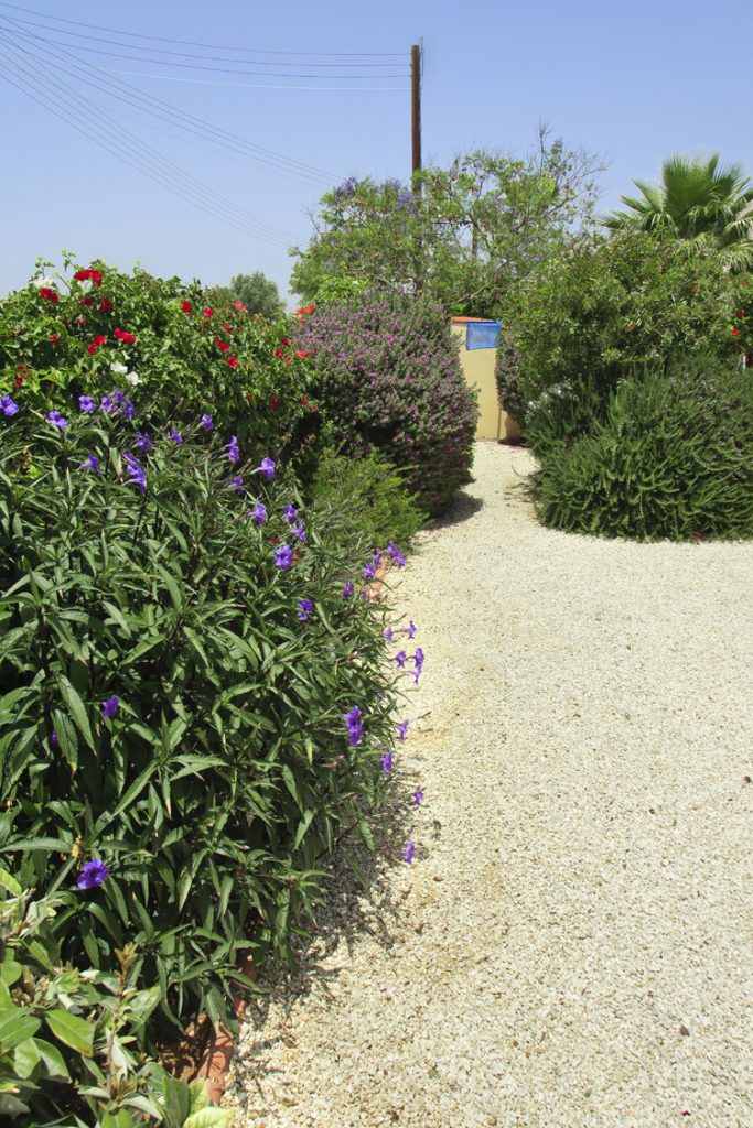 Green Forest - Cyprus' leading landscaping company - flowerbushesplants 31 1