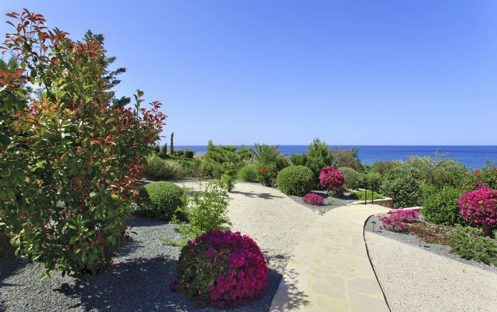 Green Forest - Cyprus' leading landscaping company - flowerbushesplants 38 2