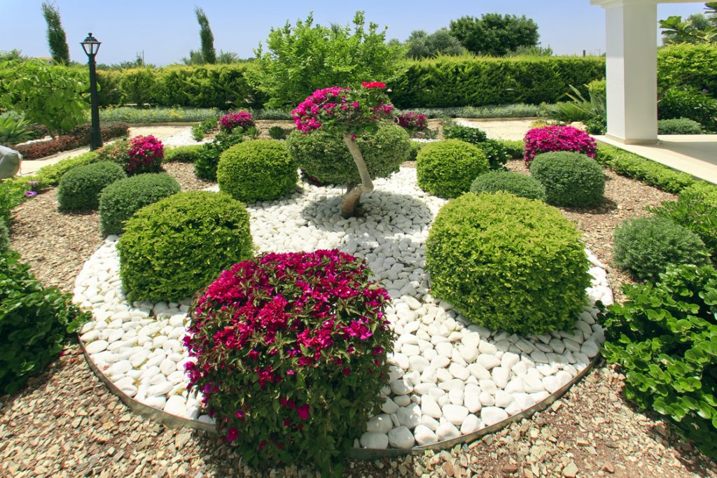 Green Forest - Cyprus' leading landscaping company - flowerbushesplants 5