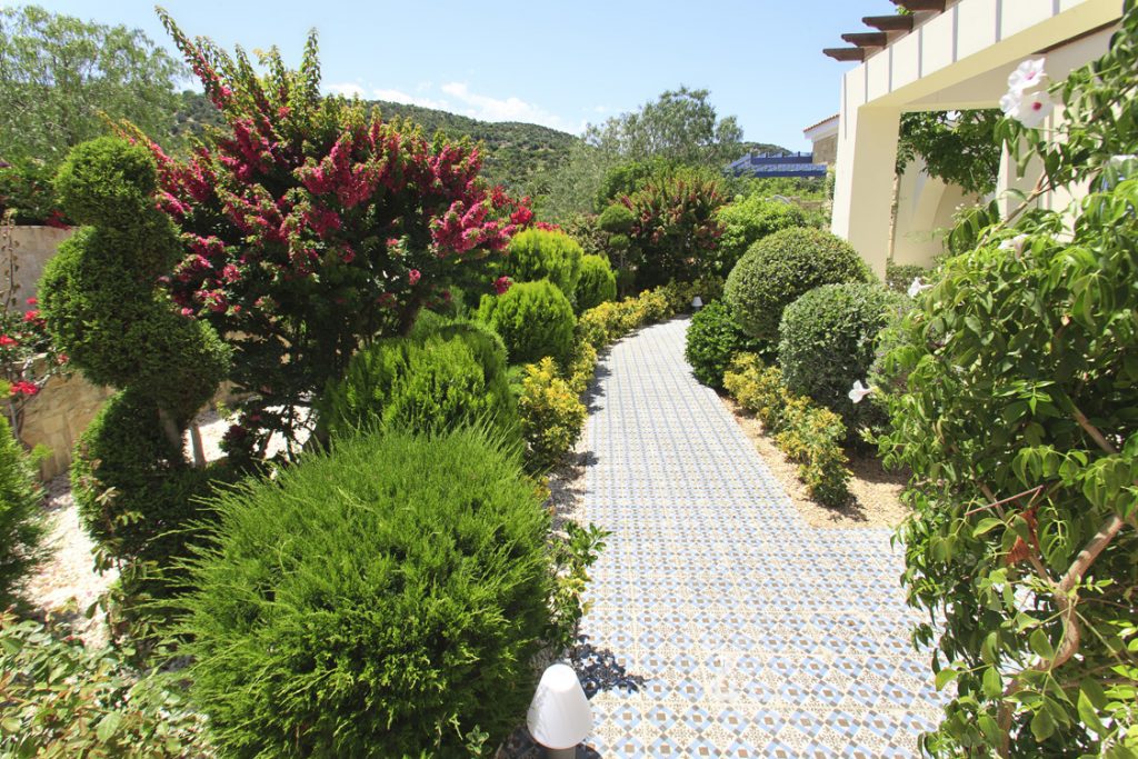 Green Forest - Cyprus' leading landscaping company - flowerbushesplants 8 2