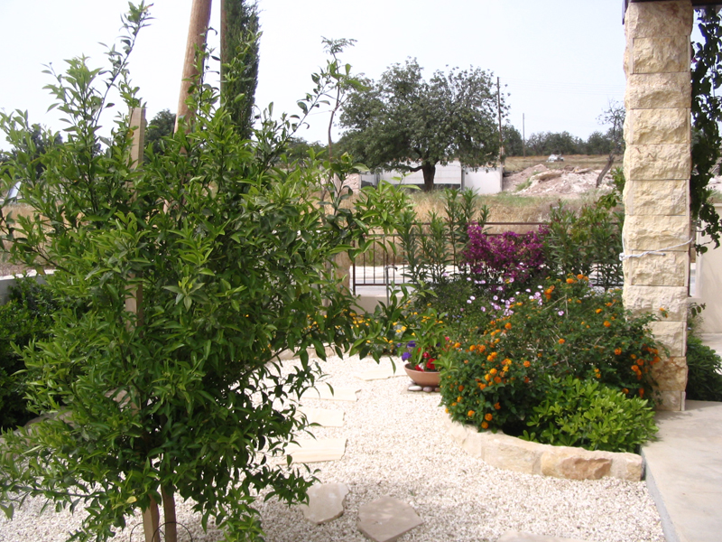Green Forest - Cyprus' leading landscaping company - fruitgardens 10 2