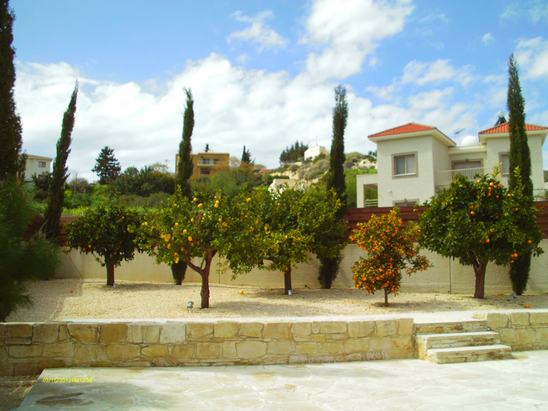 Green Forest - Cyprus' leading landscaping company - fruitgardens 17 2