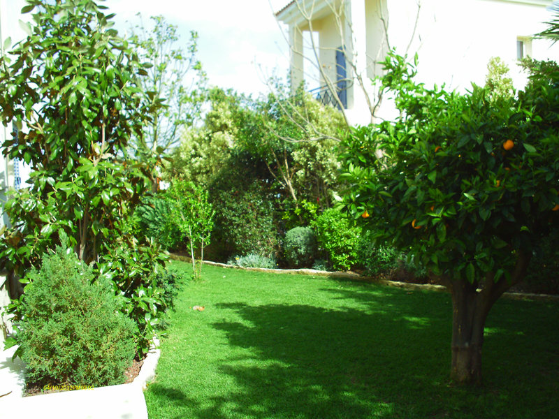 Green Forest - Cyprus' leading landscaping company - fruitgardens 20 1