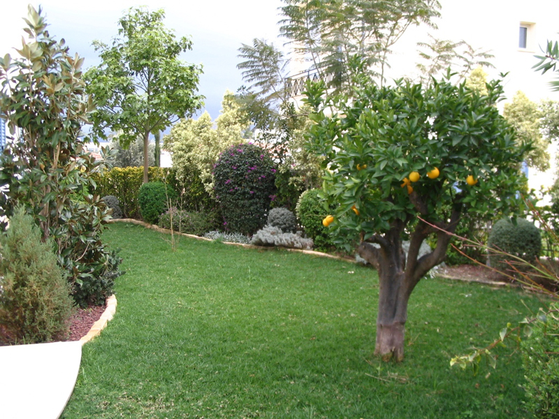 Green Forest - Cyprus' leading landscaping company - fruitgardens 5 2