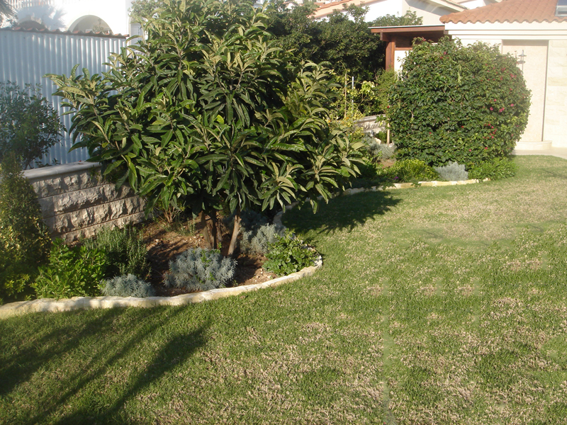 Green Forest - Cyprus' leading landscaping company - fruitgardens 6