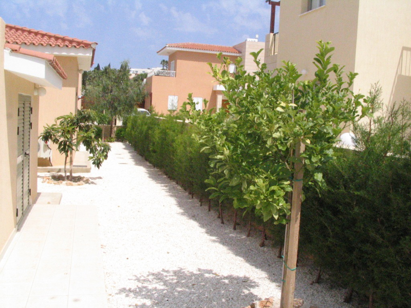 Green Forest - Cyprus' leading landscaping company - fruitgardens 8 2