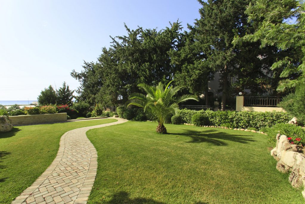 Green Forest - Cyprus' leading landscaping company - grassgardens 13 2