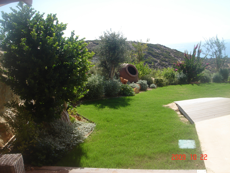 Green Forest - Cyprus' leading landscaping company - grassgardens 23