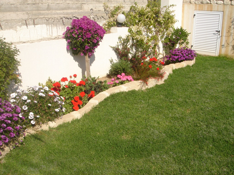 Green Forest - Cyprus' leading landscaping company - grassgardens 28 1