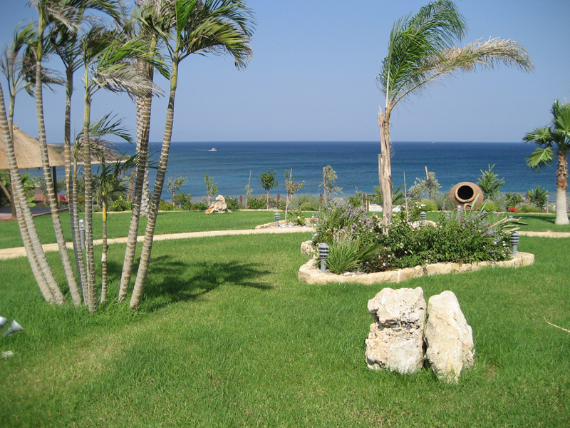 Green Forest - Cyprus' leading landscaping company - grassgardens 29 2