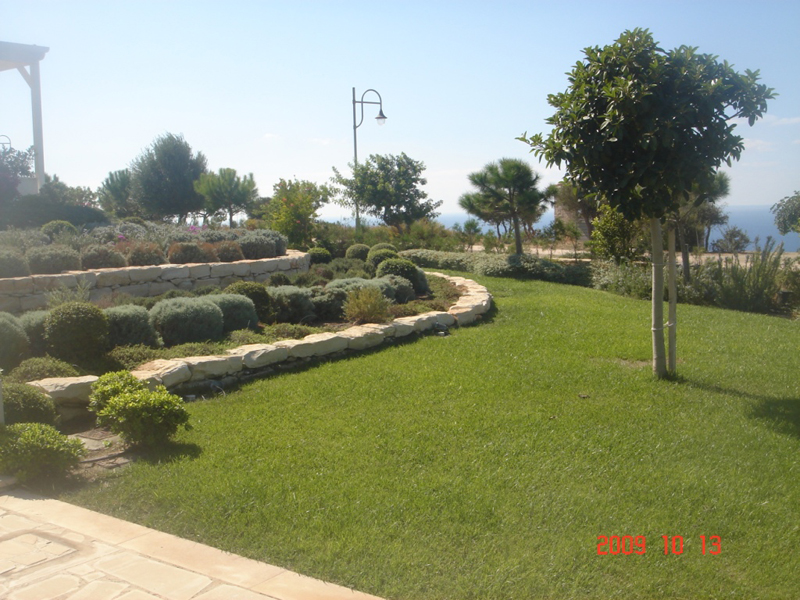 Green Forest - Cyprus' leading landscaping company - grassgardens 33 1
