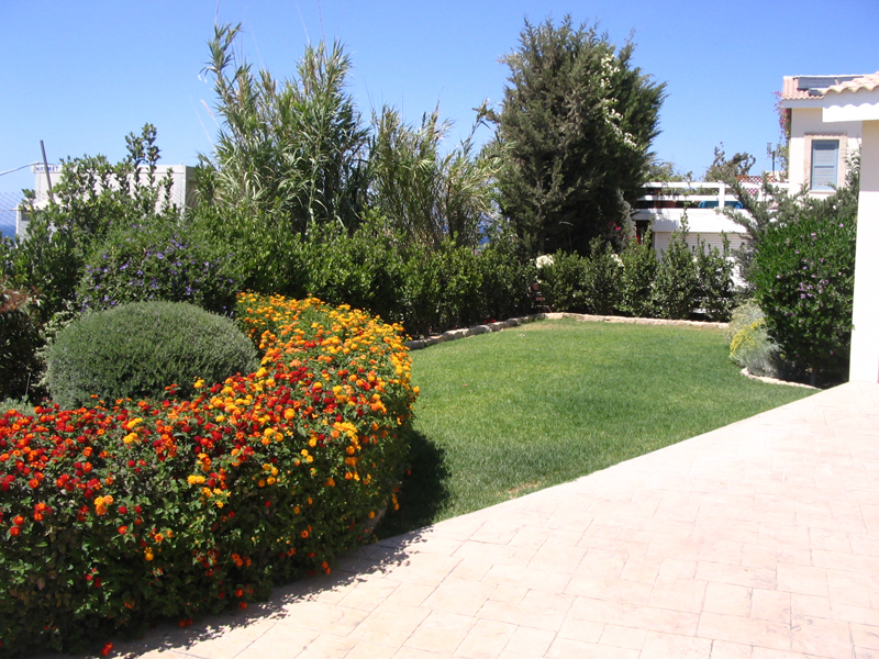 Green Forest - Cyprus' leading landscaping company - grassgardens 34 2