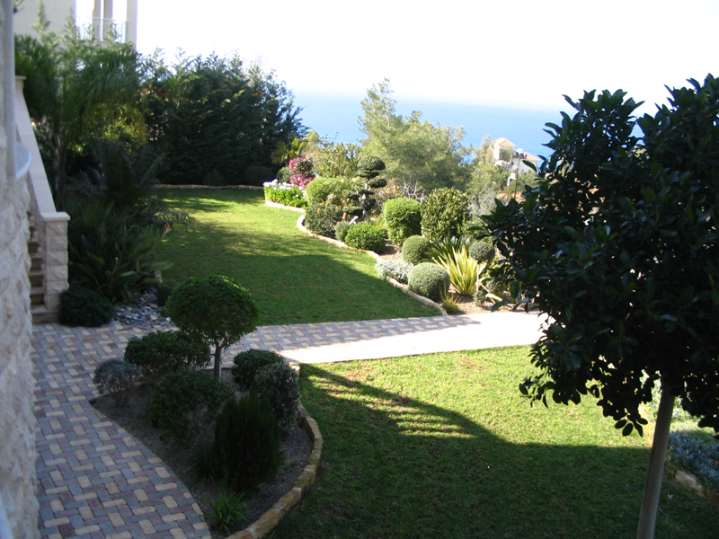 Green Forest - Cyprus' leading landscaping company - grassgardens 36 2