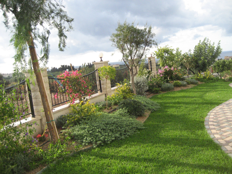 Green Forest - Cyprus' leading landscaping company - grassgardens 37 2