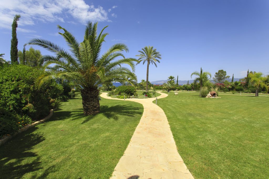 Green Forest - Cyprus' leading landscaping company - grassgardens 4