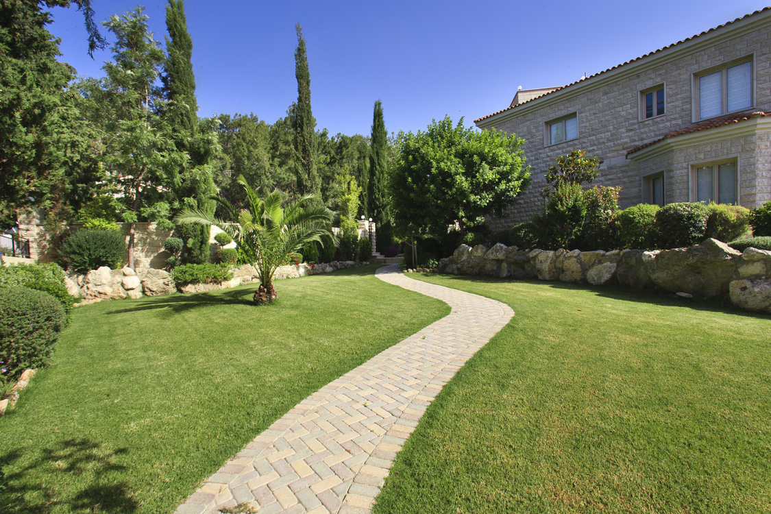 Green Forest - Cyprus' leading landscaping company - grassgardens 6 2
