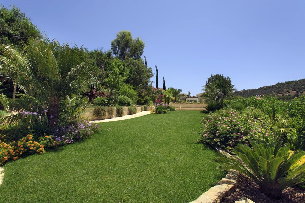 Green Forest - Cyprus' leading landscaping company - grassgardens 7 2