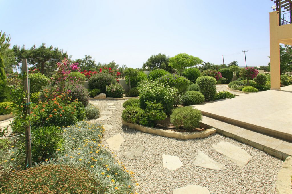 Green Forest - Cyprus' leading landscaping company - gravelgardens 1 1