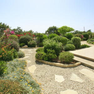 Green Forest - Cyprus' leading landscaping company - gravelgardens 1 1