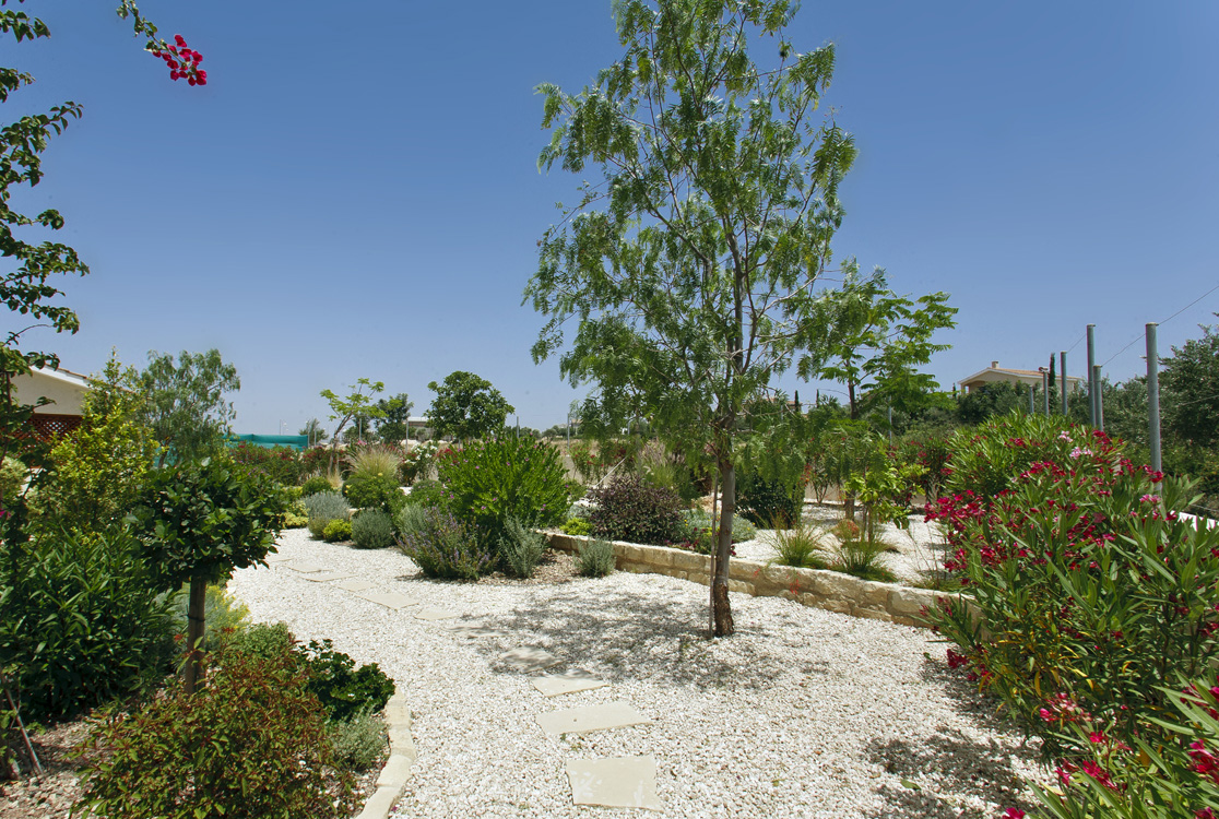 Green Forest - Cyprus' leading landscaping company - gravelgardens 14 2