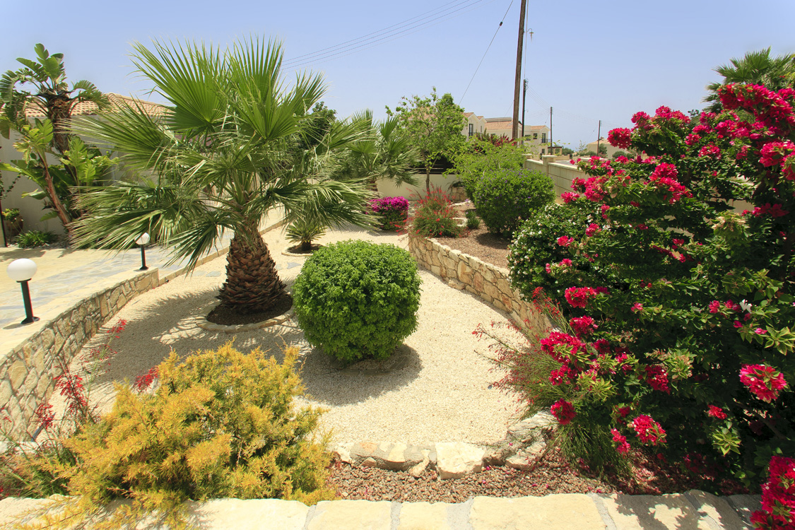 Green Forest - Cyprus' leading landscaping company - gravelgardens 18 1