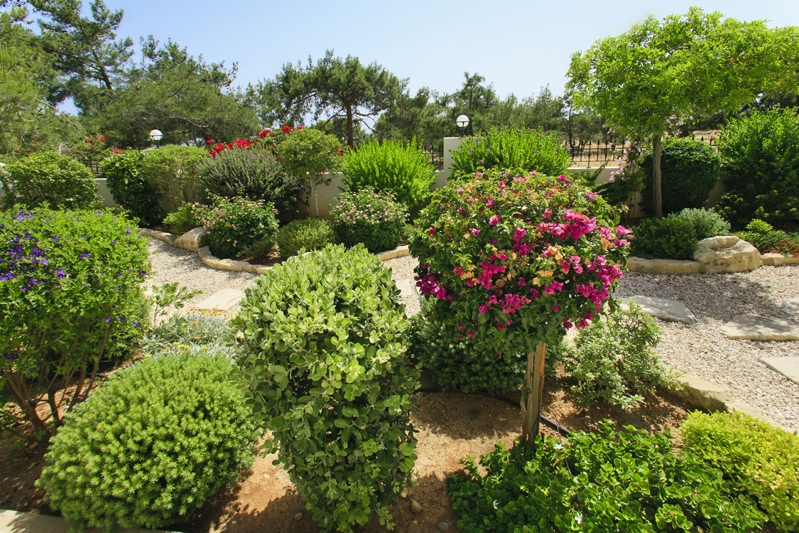Green Forest - Cyprus' leading landscaping company - gravelgardens 4 2