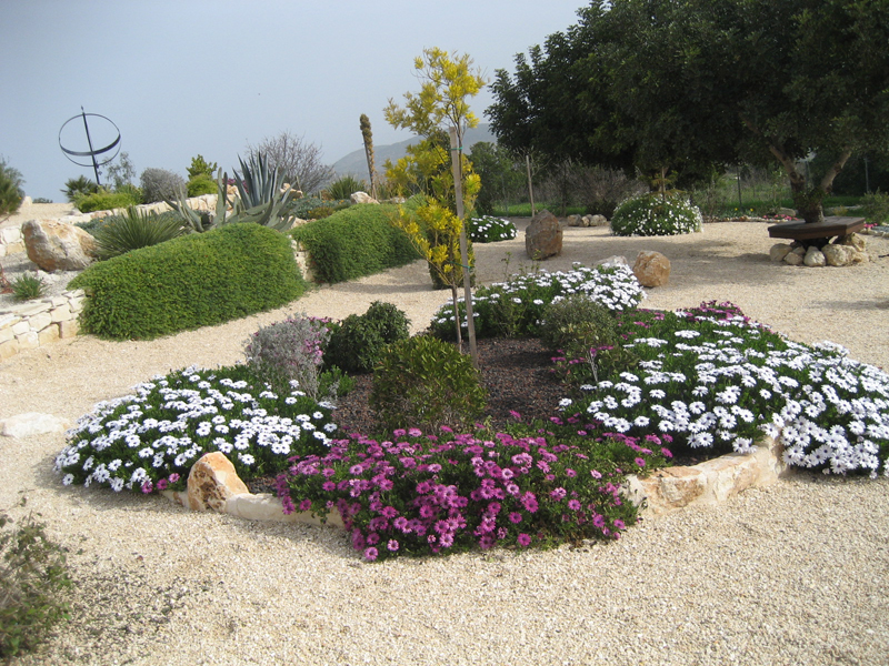 Green Forest - Cyprus' leading landscaping company - gravelgardens 45 2