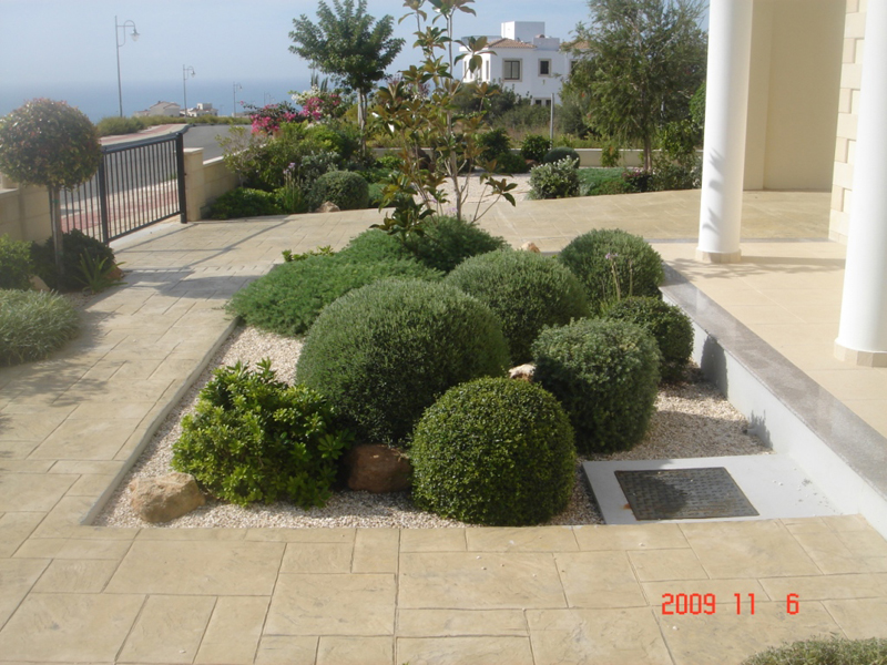 Green Forest - Cyprus' leading landscaping company - gravelgardens 49
