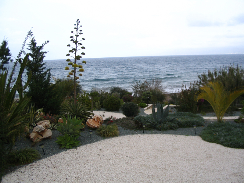 Green Forest - Cyprus' leading landscaping company - gravelgardens 53 1