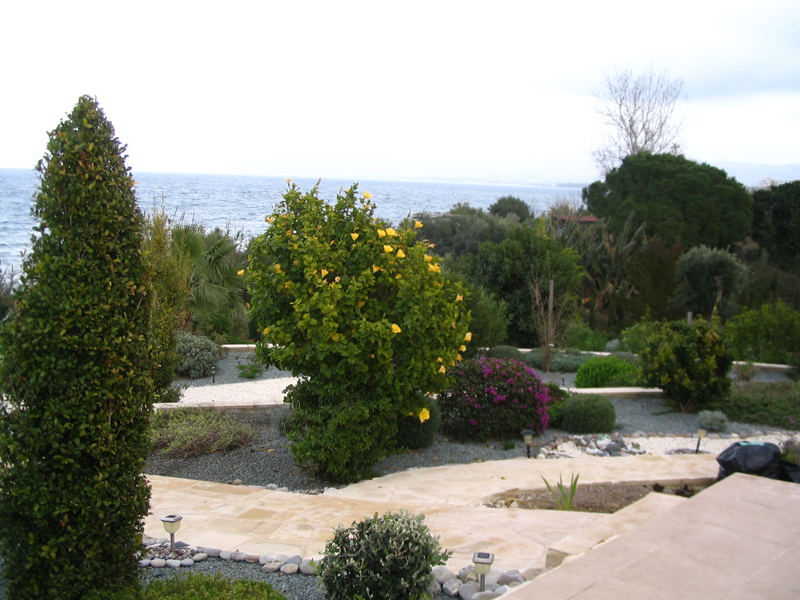 Green Forest - Cyprus' leading landscaping company - gravelgardens 54
