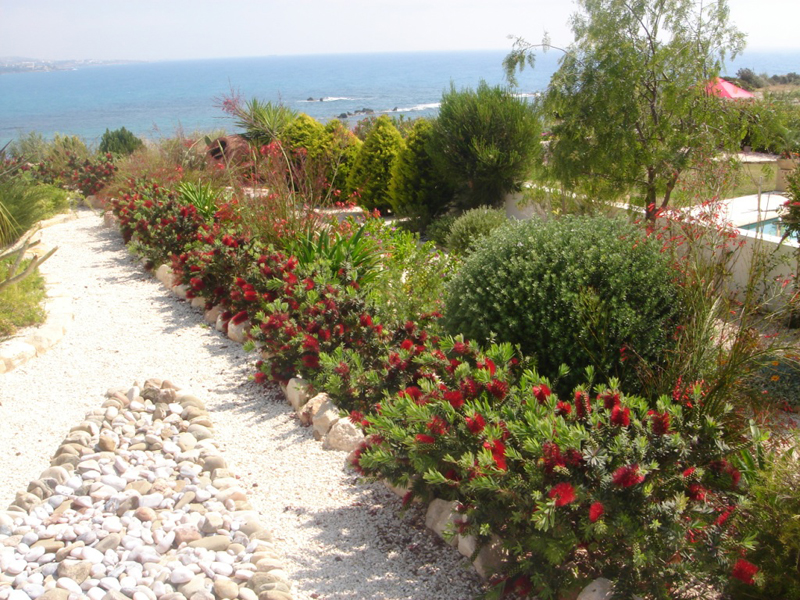 Green Forest - Cyprus' leading landscaping company - gravelgardens 56 1