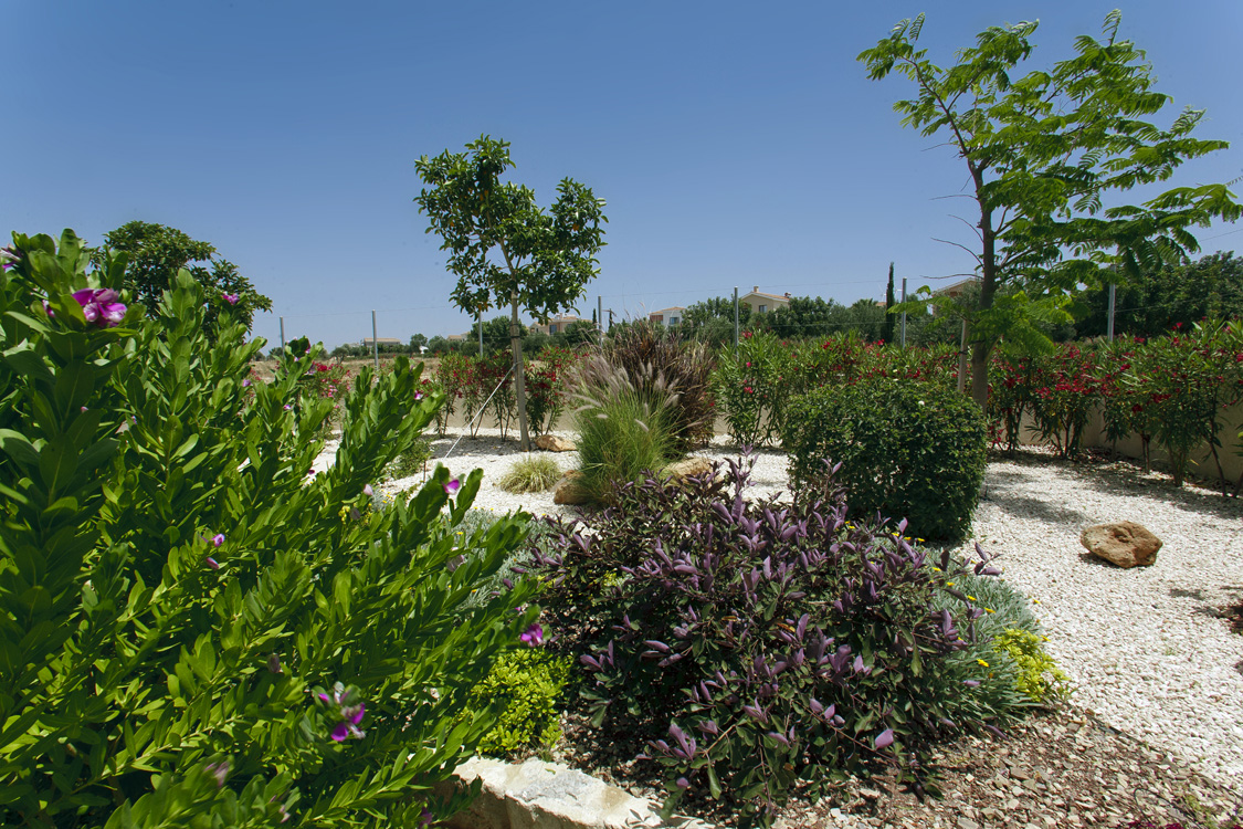 Green Forest - Cyprus' leading landscaping company - gravelgardens 6 1