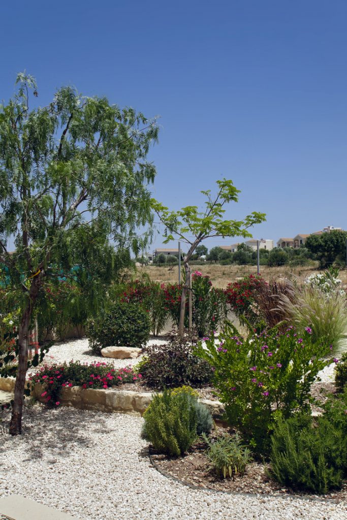 Green Forest - Cyprus' leading landscaping company - gravelgardens 7 2