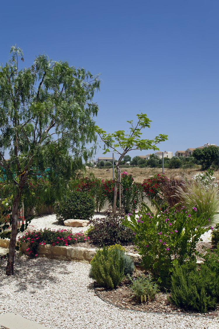 Green Forest - Cyprus' leading landscaping company - gravelgardens 7 2