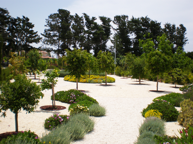 Green Forest - Cyprus' leading landscaping company - gravelgardens 73 2