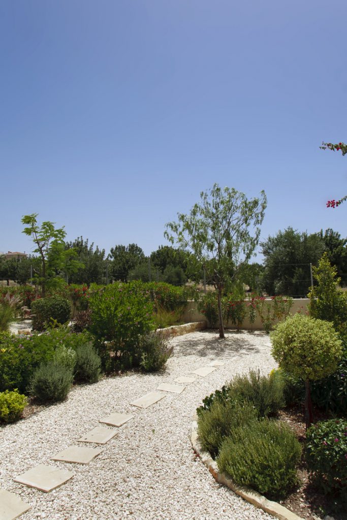 Green Forest - Cyprus' leading landscaping company - gravelgardens 9