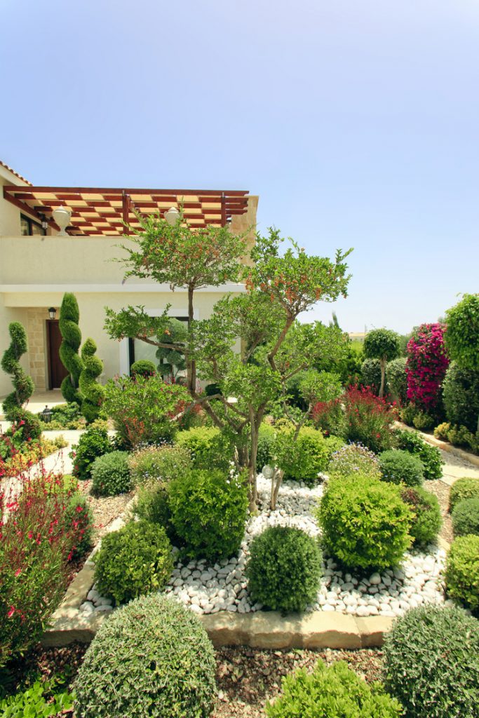Green Forest - Cyprus' leading landscaping company - greenbushesplants 12 2