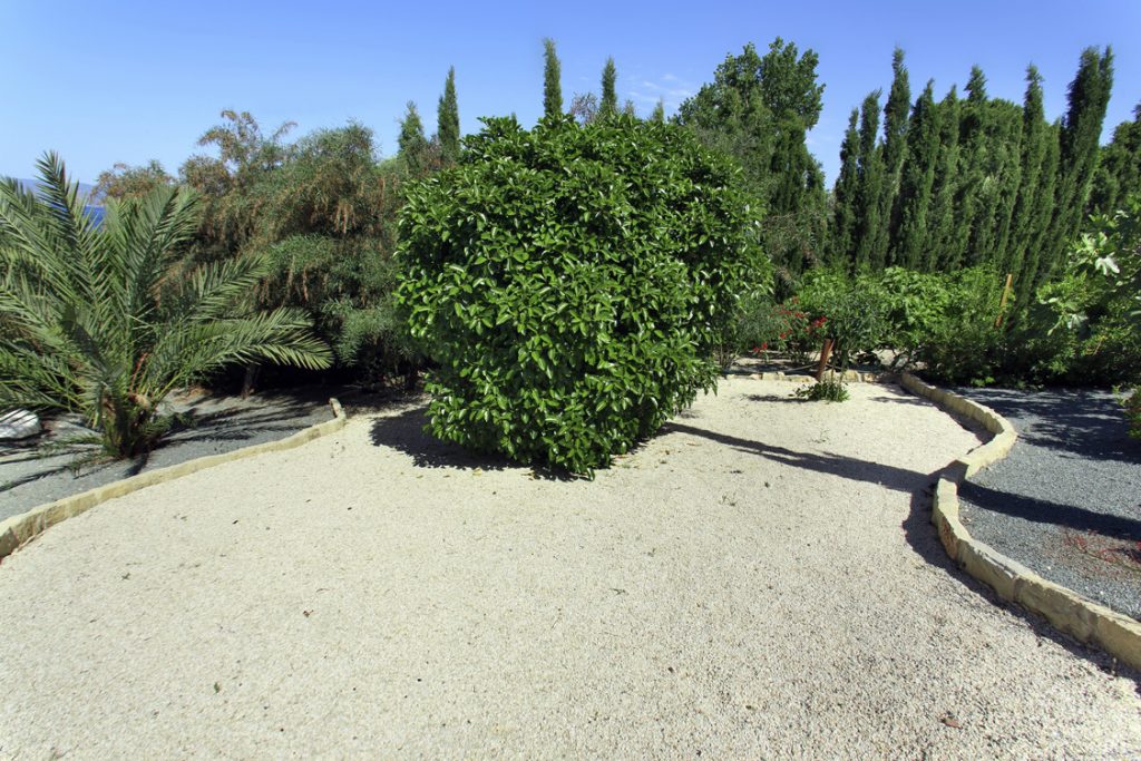 Green Forest - Cyprus' leading landscaping company - greenbushesplants 16 2