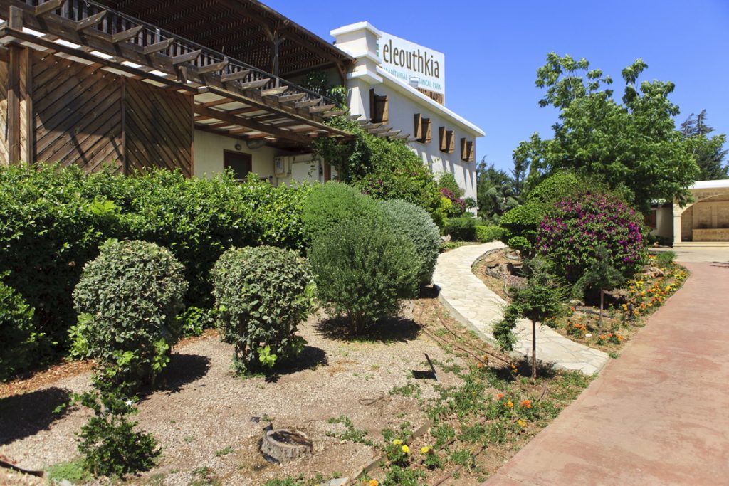 Green Forest - Cyprus' leading landscaping company - greenbushesplants 17 2