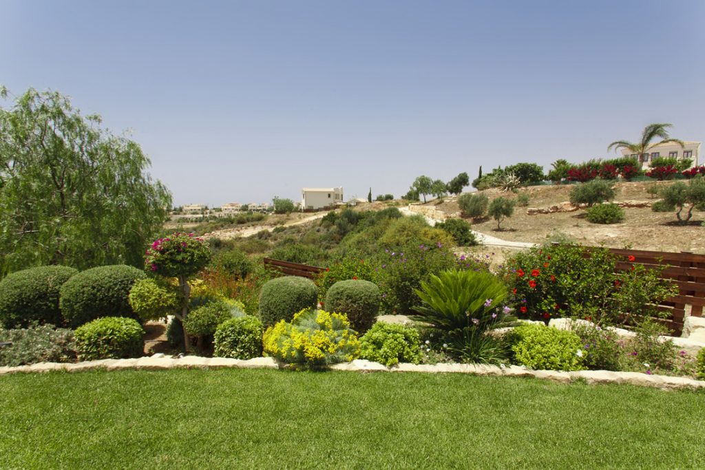 Green Forest - Cyprus' leading landscaping company - greenbushesplants 5 2