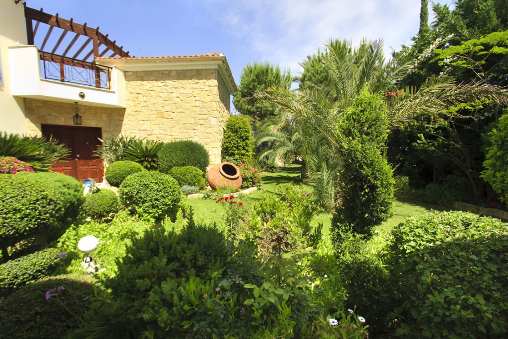 Green Forest - Cyprus' leading landscaping company - greenbushesplants 7 2