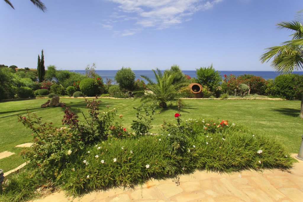 Green Forest - Cyprus' leading landscaping company - groundcoverplants 15 1