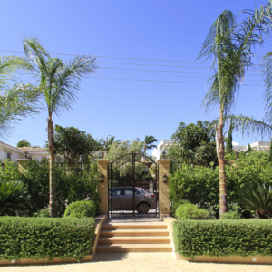 Green Forest - Cyprus' leading landscaping company - hedgesplants 1 2