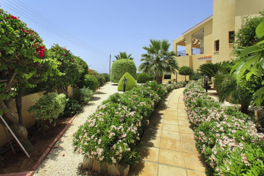 Green Forest - Cyprus' leading landscaping company - hedgesplants 16 2